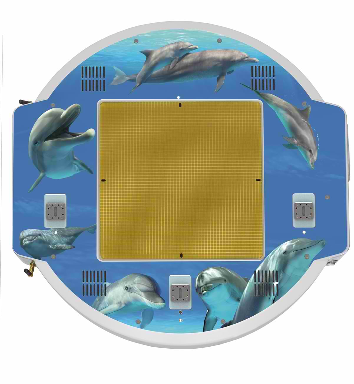 IBA Dosimetry Treatmant Varian Dolphin